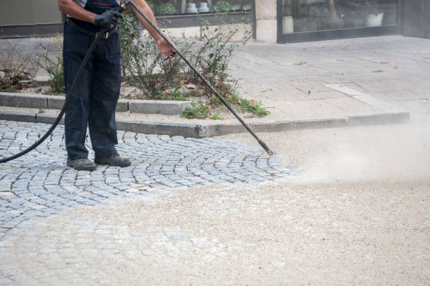 Best Spring Cleaning  in Middle Island, NY