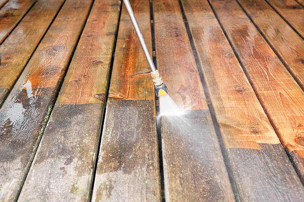 Best Animal Enclosure Cleaning  in Middle Island, NY